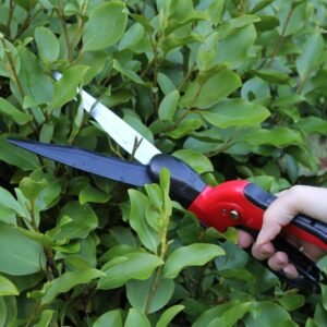 DARLAC - Swivel Shears - Image 3