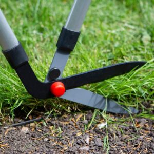 DARLAC - Telescopic Edging Shears - Image 2