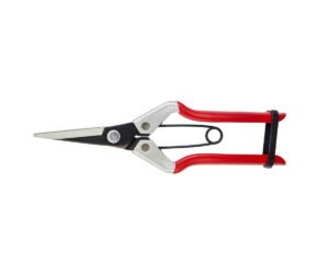 DARLAC - Vine Scissors