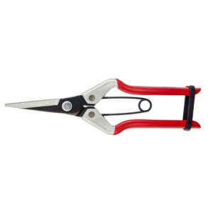 DARLAC - Vine Scissors