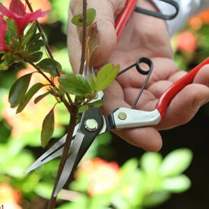 DARLAC - Vine Scissors - Image 2