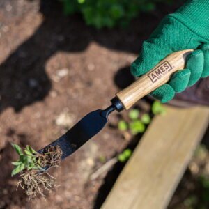 AMES - Hand Daisy Grubber - Carbon Steel - Image 4