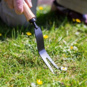 AMES - Hand Daisy Grubber - Carbon Steel - Image 3