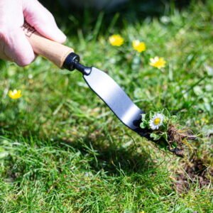 AMES - Hand Daisy Grubber - Carbon Steel - Image 2