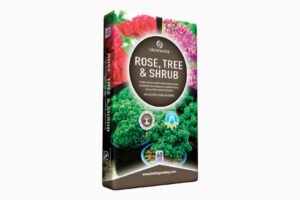 Rose Tree & Shrub Compost 60lt