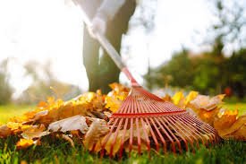 DIGGING & RAKING