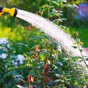 WATERING