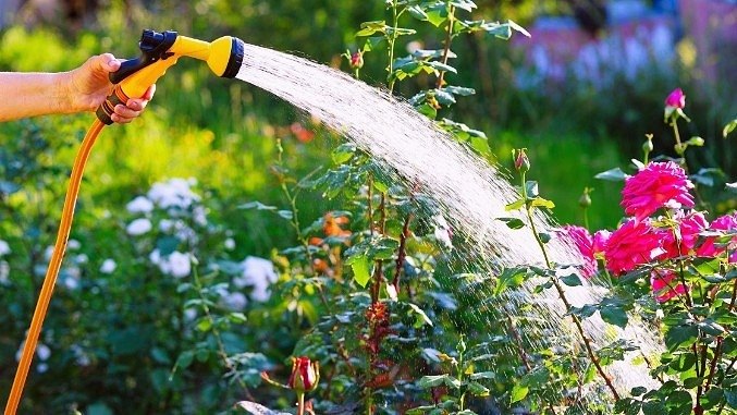 WATERING