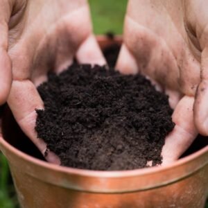 POTTING