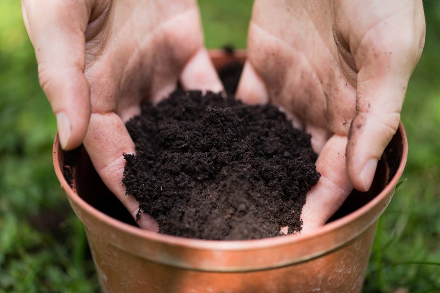 POTTING