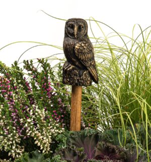 Barn Owl Cane Companion