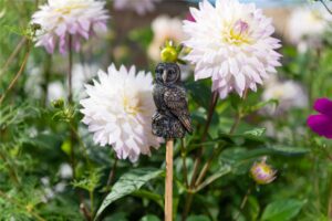 Barn Owl Cane Companion - Image 4