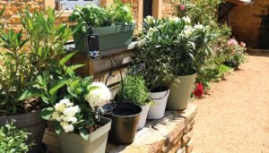 HOZELOCK - Solar Select Irrigation Kit - Image 5