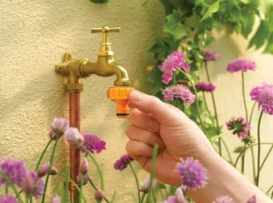 HOZELOCK - 1/2" & 3/4" Threaded Outdoor Tap Connector - Image 2
