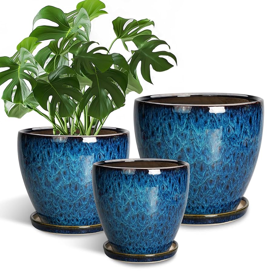 POTS