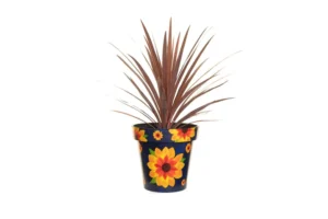 Creekwood - Zest Indoor Garden Pot - Sunflower - Image 3
