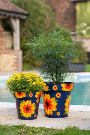 Creekwood - Zest Indoor Garden Pot - Sunflower - Image 10