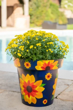 Creekwood - Zest Indoor Garden Pot - Sunflower - Image 9