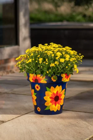 Creekwood - Zest Indoor Garden Pot - Sunflower - Image 7