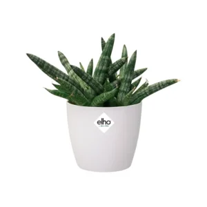 Elho - Brussels Round Mini White 9.5cm - Image 9