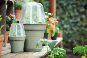 Elho - Green Basics Growpot - Stone Green - Image 7