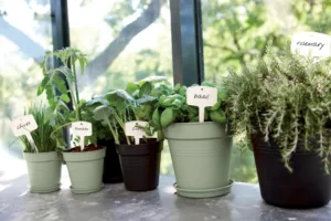 Elho - Green Basics Growpot - Stone Green - Image 10