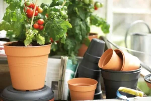 Elho - Green Basics Growpot - Mild Terra - Image 9
