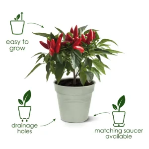 Elho - Green Basics Growpot - Mild Terra - Image 4
