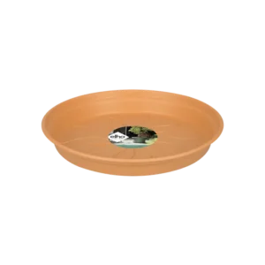 Elho - Green Basics Saucer - Mild Terra - Image 2