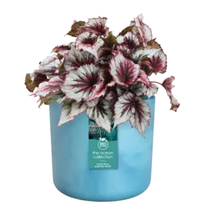 Elho - The Ocean Collection Round - Atlantic Blue - Image 4