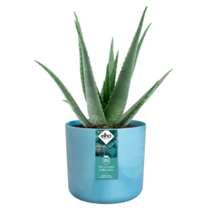 Elho - The Ocean Collection Round - Atlantic Blue - Image 8