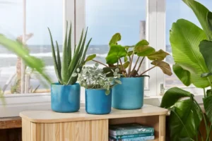 Elho - The Ocean Collection Round - Atlantic Blue - Image 7