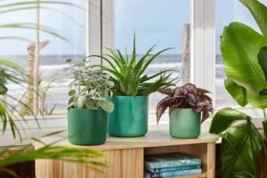 Elho - The Ocean Collection Round - Pacific Green - Image 4
