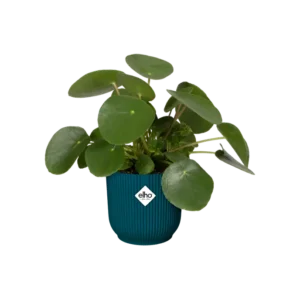 Elho - Vibes Fold Round - Deep Blue 14cm - Image 9