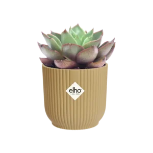 Elho - Vibes Fold Round Mini - Butter Yellow - Image 12