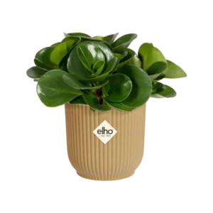 Elho - Vibes Fold Round Mini - Butter Yellow - Image 10