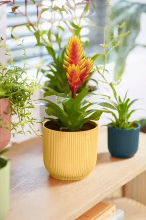Elho - Vibes Fold Round Mini - Butter Yellow - Image 9